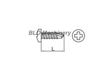Self Drilling Screw
